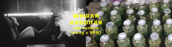 прущая мука Ельня