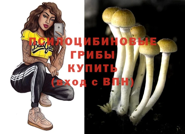 мдма Пролетарск