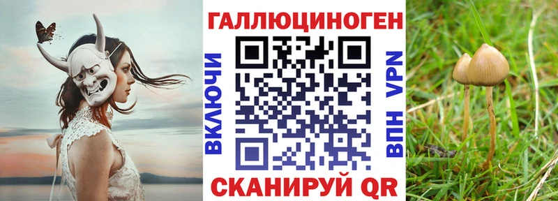 где можно купить наркотик  ссылка на мегу ССЫЛКА  Псилоцибиновые грибы Cubensis  Плавск 